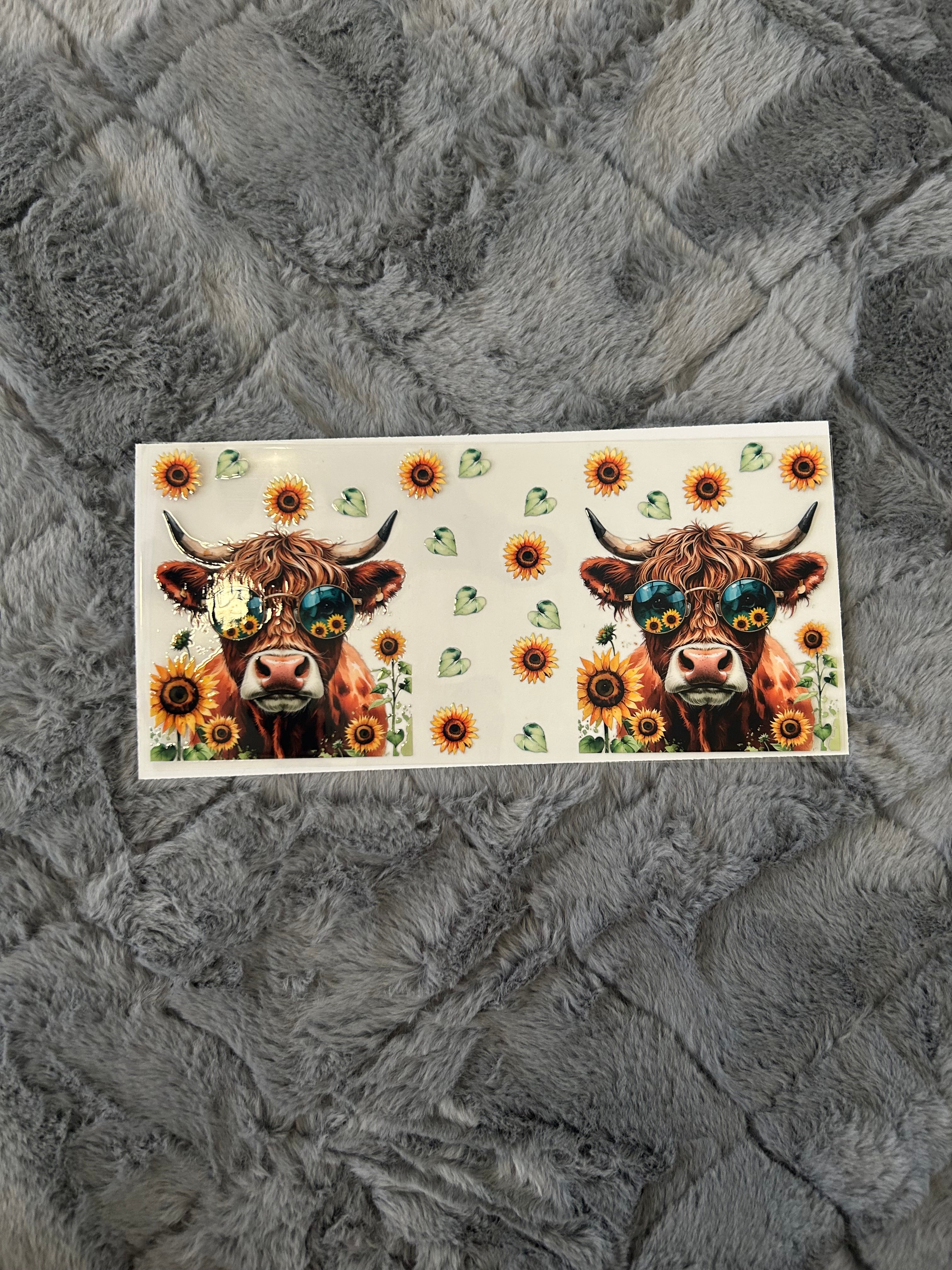 116 Cool cow vibe