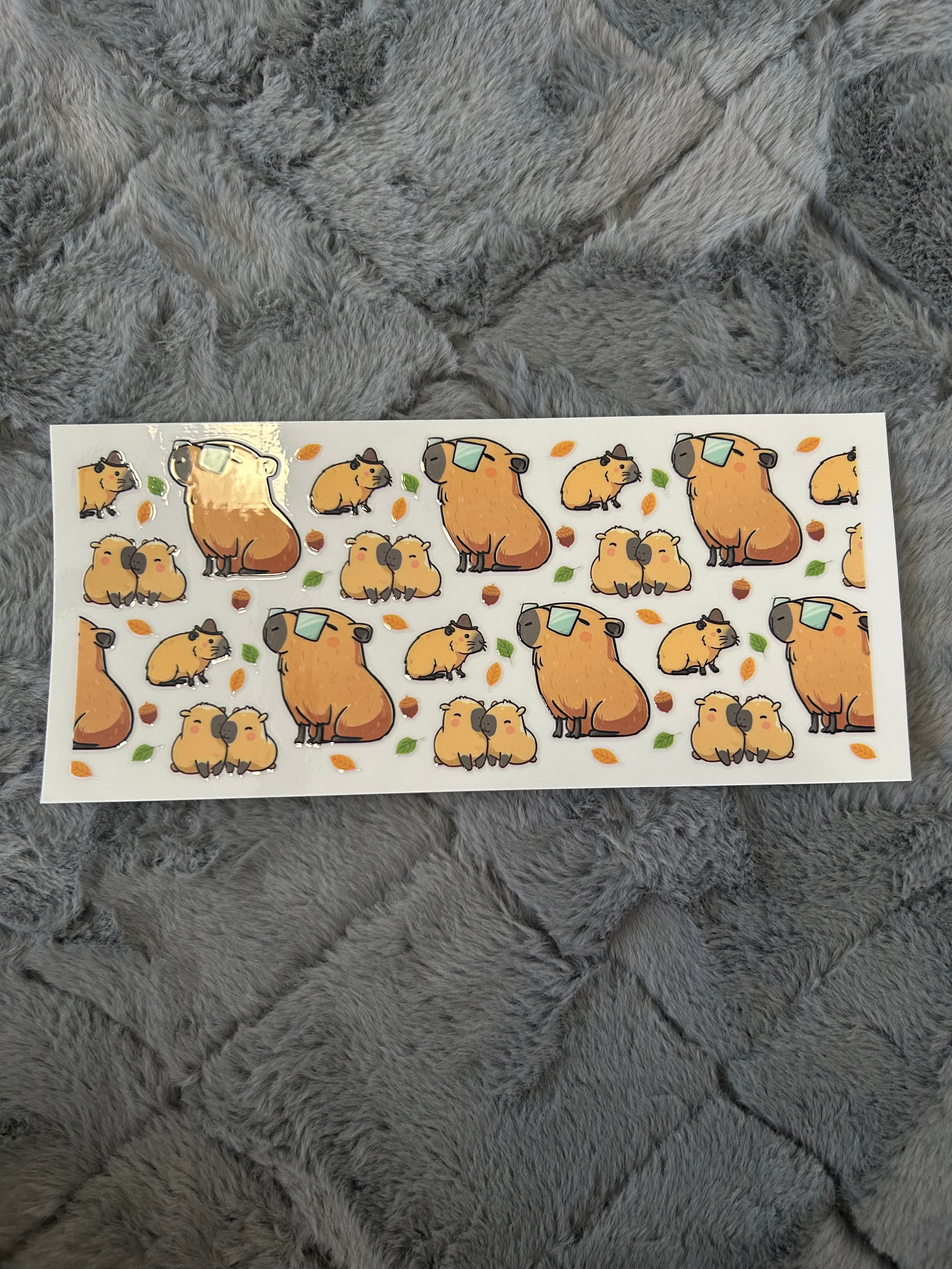 113 Capybara love ❤️