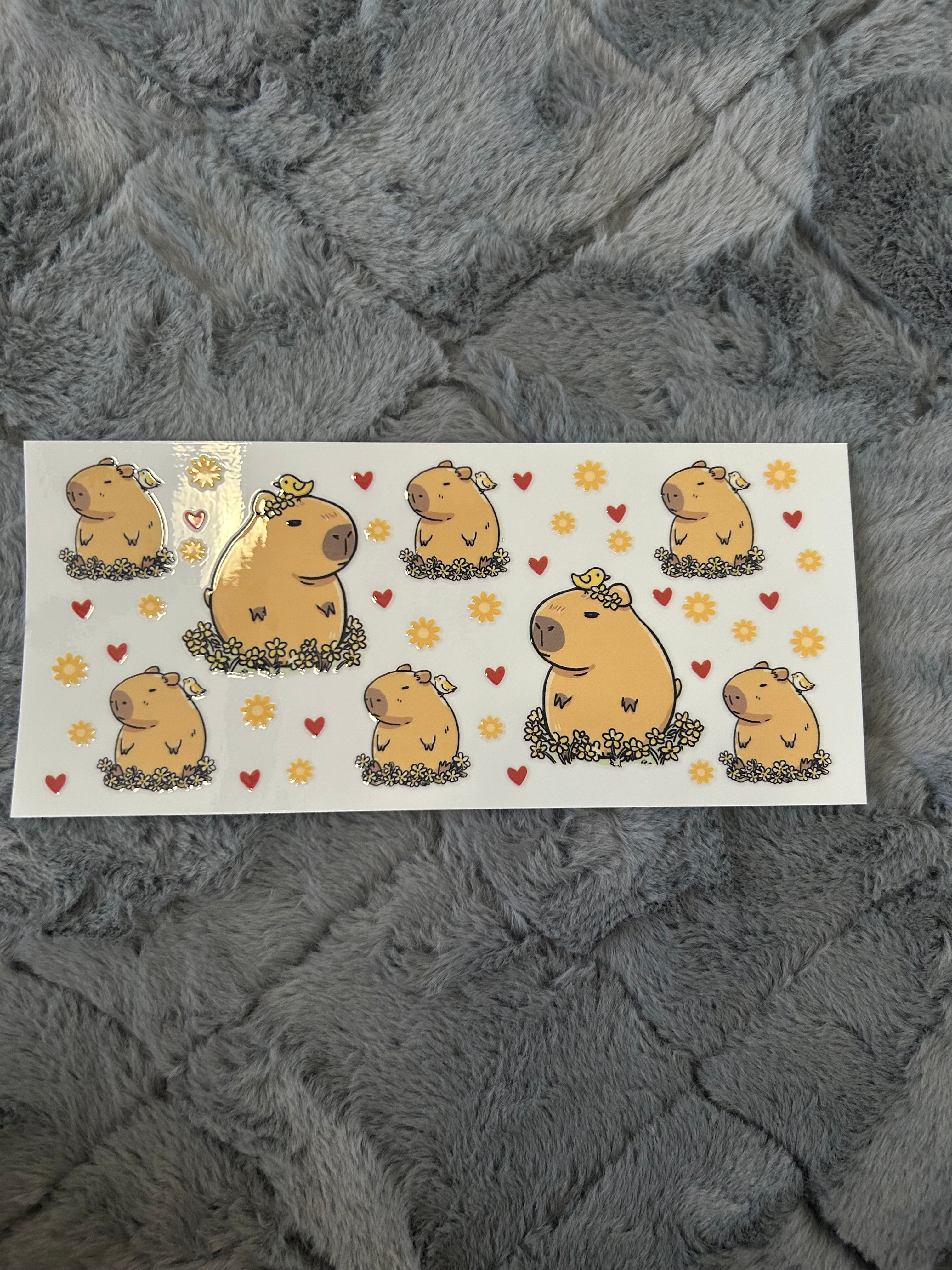 112 Capybara sunshine 🌻